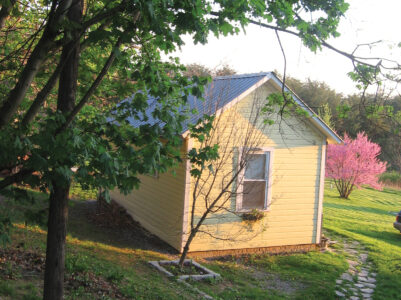 Summer Kitchen Image